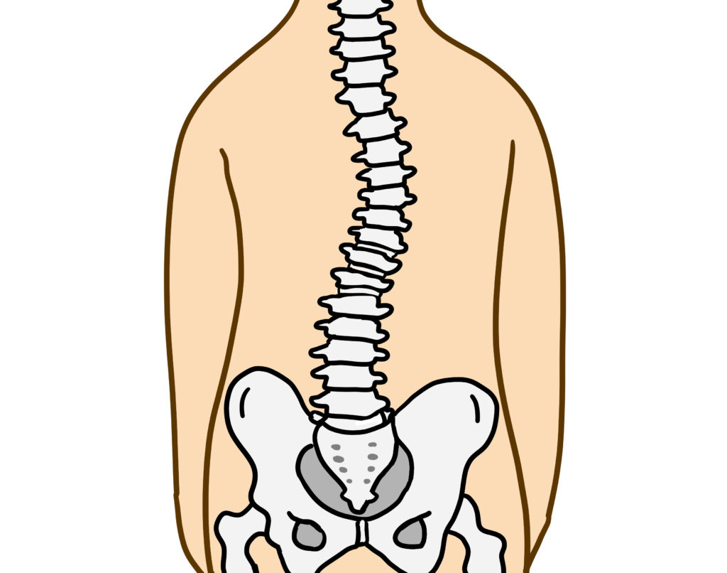 成長期の背骨、早めにチェックしておきましょう